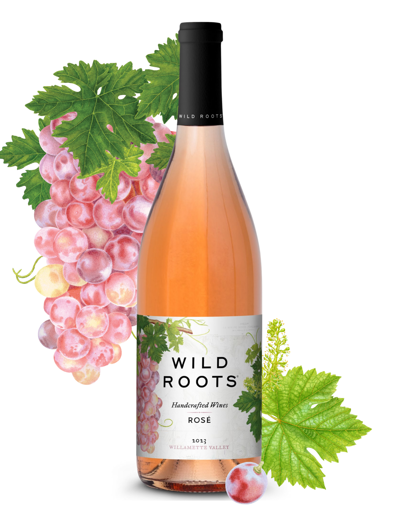 Rosé | Wild Roots Wines